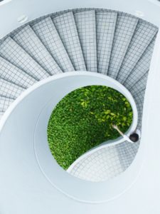 Escalier en colismasson avec de la verdure